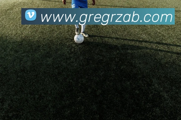 互动解说服务